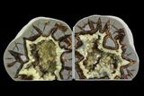 Utah Septarian Geode Bookends - Beautiful #94418-1